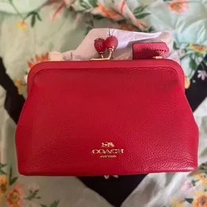 ♡最終値下価格♡COACH STRWB NORA ポーチ エレクトリックレッド s_wp_64514665f644e5e57302c583.webp